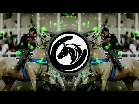 musica-Vaqueira testada-Junior Vianna