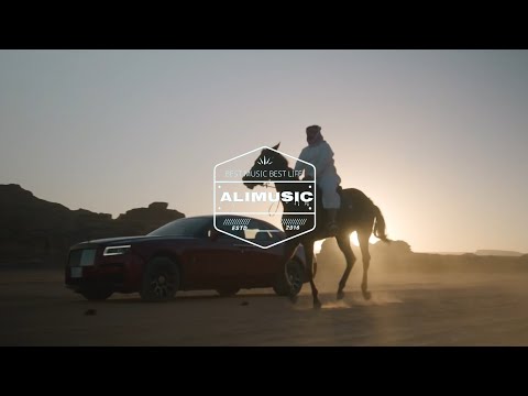 Elegant Ape - Someday | Premiere