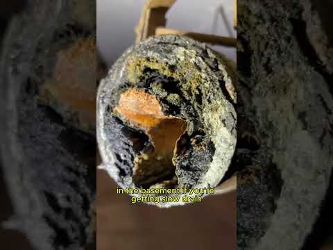 Watch Hive 5 flex-shaft drain cleaning in action - Vaughan