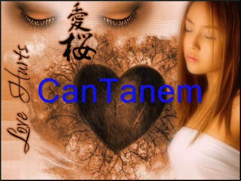 Canisi Seviyorum Seni