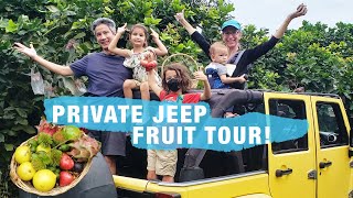 PICK & EAT TROPICAL EXOTIC FRUIT in Malaysia! Desaru Fruit Farm Jeep Tour