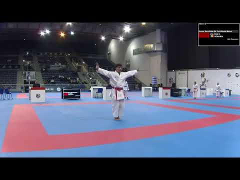 Karate1 VENICE - FINALS Junior Kata Male