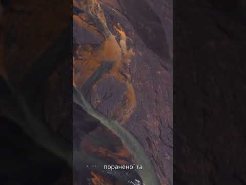 Александр Коротко, Поезія , “Королівська ложа мовчання…”