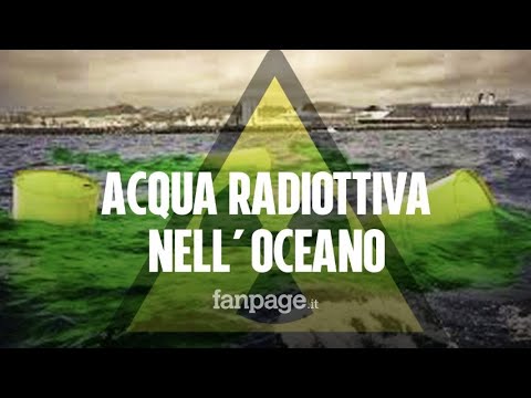 Fukushima, l'acqua radioattiva del disastro nucleare verrà riversata nell'oceano: "Unica soluzione"