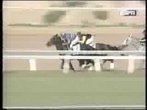 10/22/95 - Valid Expectations #2 - 2nd Place - Mathis Bros F