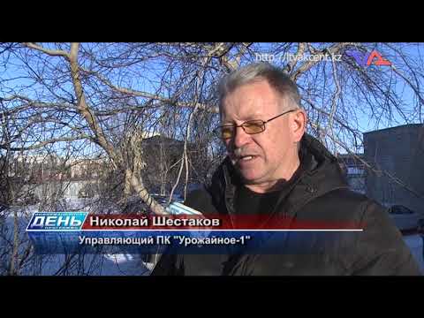 Выпуск программы “День” от 26 января 2022г.