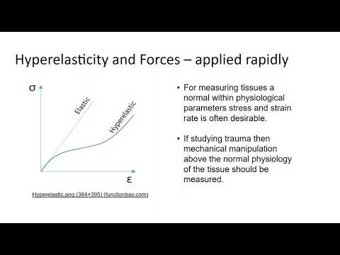 DevoWorm (2021, Meeting 43): Diatom Modeling III, Tissue Physics, Mutational Diversity