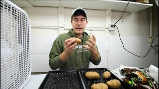 How to Force Eyes to Make Your Own Seed Potatoes!