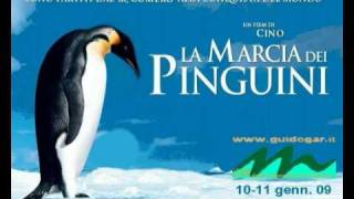 preview picture of video 'Pinguini del Comero 10-11 gennaio 09   www.guidegar.it'