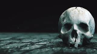 Download lagu Skeleton Bone skull No copyright template... mp3