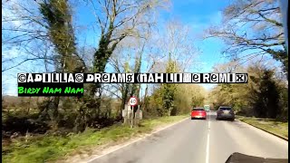 Single Track UK: Birdy Nam Nam - Cadillac Dreams (Nah Like Remix)