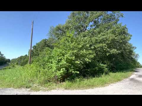 Parental Conditioning 5.1