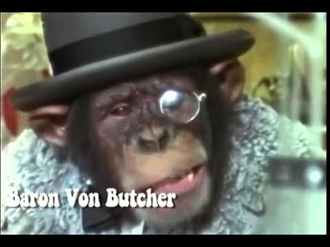 Lancelot Link  Secret Chimp