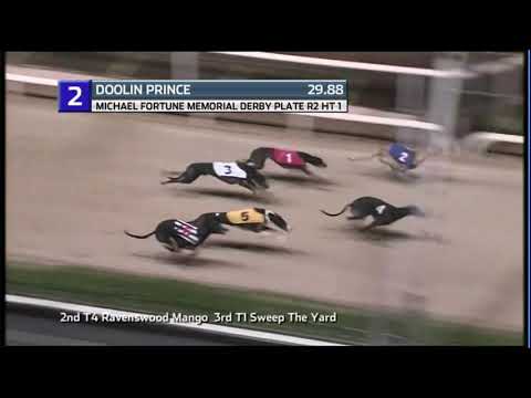 2020 IRISH DERBY PLATE - R2 HEAT 1 - T2 DOOLIN PRINCE