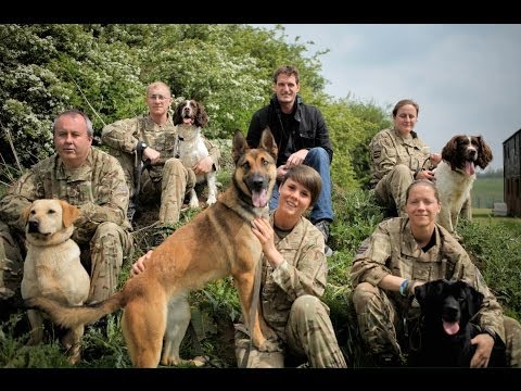 War Dogs - WW1 Uncut: Dan Snow
