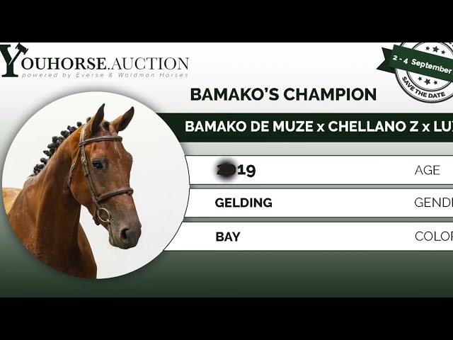 Bamako's Champion