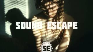 Monster Rally - Sunflower