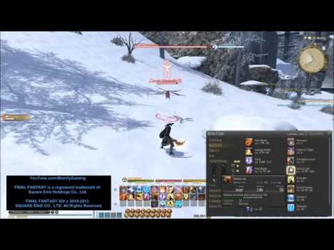 WTSMMO.com How to Play FF14 Tank Gladiator Level 30