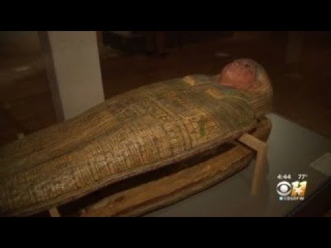 Queen Nefertari’s Egypt - Now at the Kimbell