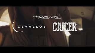 ROAST YOURSELF CALLE Y POCHÉ
