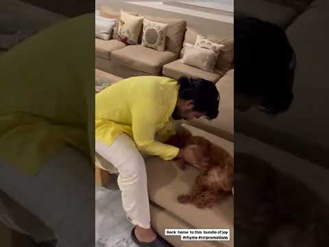 Ram Charan Enjoying with his Dog Rhyme After RRR Promotions ||Ram Charan||RRR||Upasana||Rajamouli