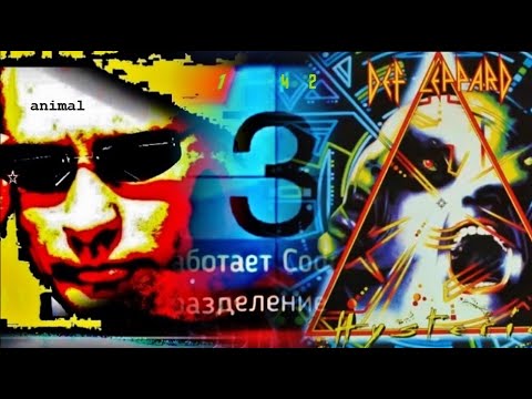 animal, 1987, def Leppard