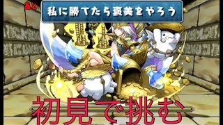 パズドラ　ゆっくり実況　初見　ガネーシャの財窟