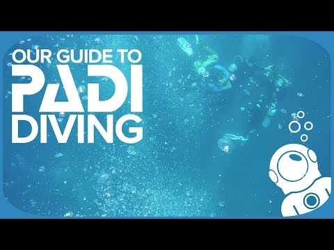 Our Guide To PADI Diving