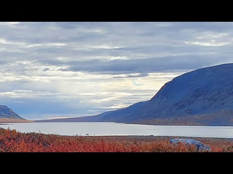 Käsivarren erämaa 09/2020