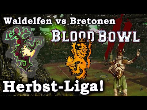 Waldelfen (Hamster) vs Bretonen! Die Herbstliga!  Blood Bowl 2