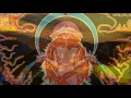 HAWKWIND  Paradox -   Chronoglide Skyway live