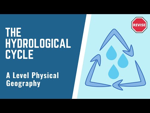 A Level Physical Geography - The Hydrological Cycle
