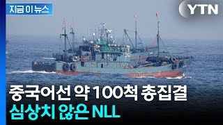 파렴치하게 태극기 '펄럭'...NLL에 총집결한 중국 어선들 [지금이뉴스] / YTN