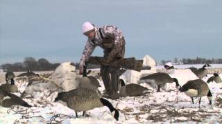 2 Day Illinois Goose Hunt with Big Sean