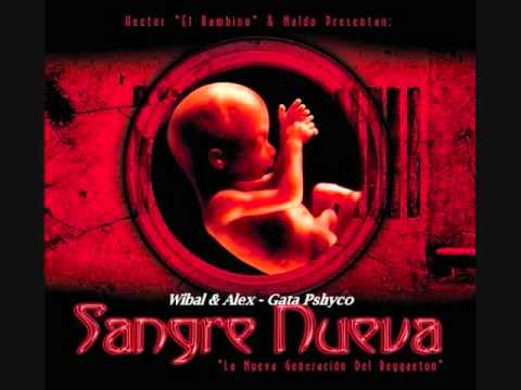06.Wibal & Alex - Gata Pshyco (Sangre Nueva)