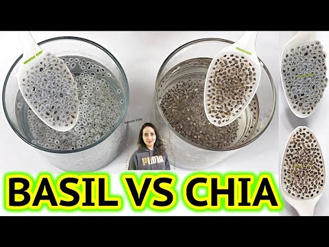 Chia Vs Basil Seeds For Weight Loss | Basil Vs Chia Seeds | Sabja Vs Chia seeds Video
