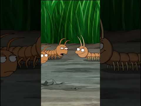 centipede vs millipede #impostor #asmr