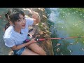 IKAN PUTIH YANG CANTIK