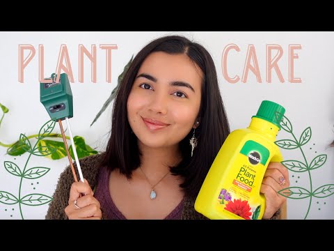 How To Not Kill Your Plants | 5 Tips