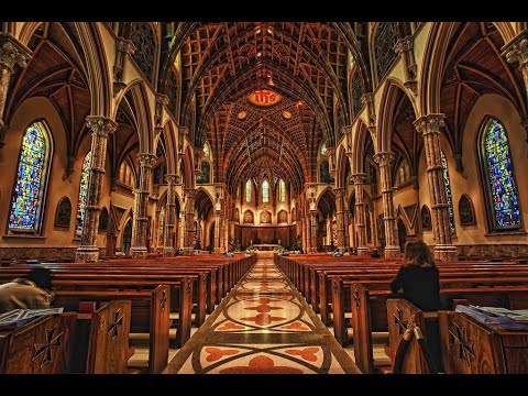 18th Sunday in Ordinary Time - 2020