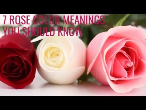Meaning of roses