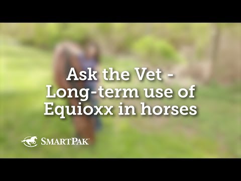 Ask the Vet - Long-term use of Equioxx in horses