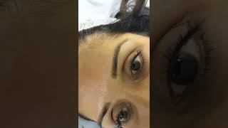 Dark Skin Eyebrows Microblading Bulbs Restoration + Density by El Truchan @ Perfect Definition