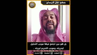 حكم أكل التمساح image