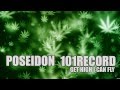 Get High I Can Fly - TingNote X CJ Focus ...