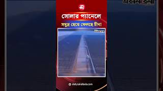 সোলার প্যানেল দিয়ে সমুদ্র ছেয়ে ফেলছে চীন ! | Daily Sakalbela