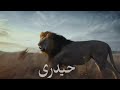 Janam Fida E Haidari Child Reaction Video