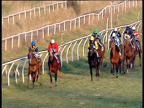 Galoppo 26/01/2019 - 5ª corsa