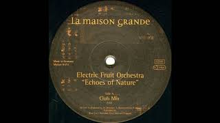 Electric Fruit Orchestra – Echoes Of Nature (Club Mix) 1997