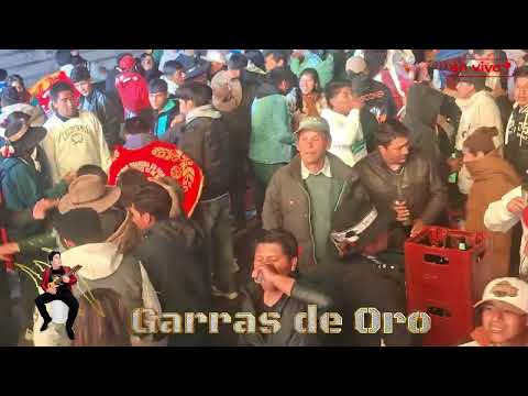 Garras de Oro - Presentacion en Vivo  AYAPATA - CARABAYA PUNO